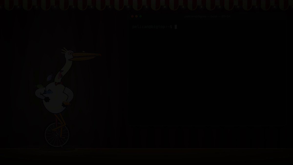 > Create a 30s animated video with sythesized voice where an animated pelican on a unicycle explains the shell command `w | tail -n +3 | cut -d ' ' -f1 | sort -u` with visuals while juggling several fish. Claude Opus 5.5 (Extra)