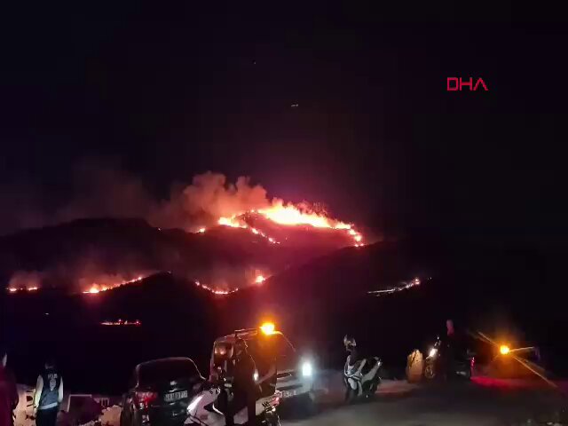 #SonDakika | Bodrum’da maki ve otluk alanda çıkan yangına ekiplerin müdahalesi sürüyor Belediye Başkanı Tamer Mandalinci'den ilk açıklama geldi