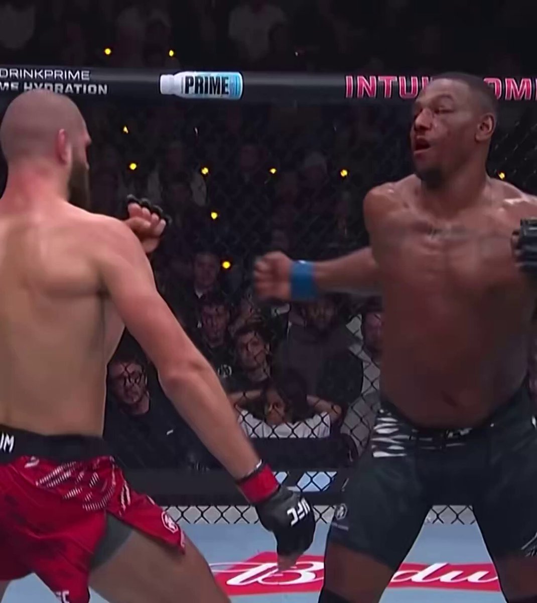 Jiri Prochazka’s finish of Jamahal Hill in slow motion