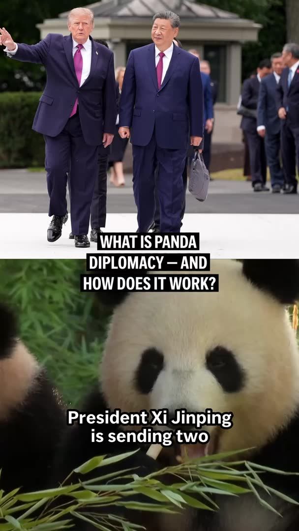 Two giant pandas are headed from China to the U.S. But what exactly is panda diplomacy — and how does it work?