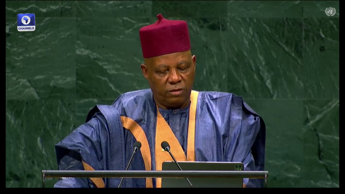 Africa is ready for the future. Our resilience, our ingenuity, our youthful population, our natural wealth, and expanding markets can make us a major driver of global growth in this century. - Kashim Shettima, Vice President of Nigeria, speaking at the 81st UNGA in New York
