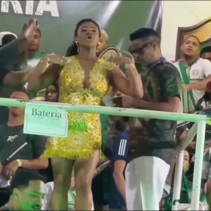Eu quando sou presidenta, rainha de bateria e porta-bandeira ao mesmo tempo