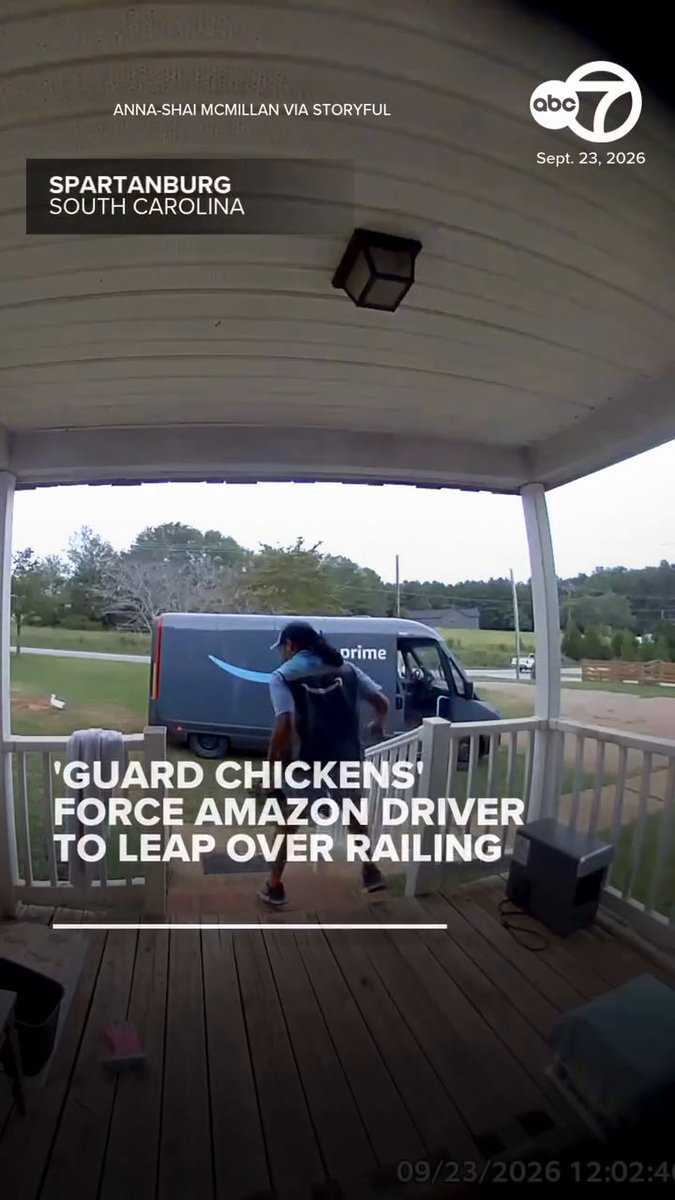 Doorbell footage captured the hilarious moment an Amazon delivery driver was spooked by a homeowner's chickens and jumped over the porch railing with a package to avoid the "guard chickens."