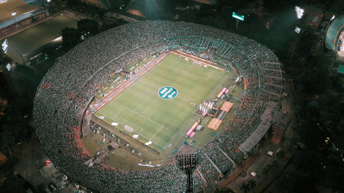 La fiesta siempre es Verdolaga 🎇💚 #VamosTodosJuntos