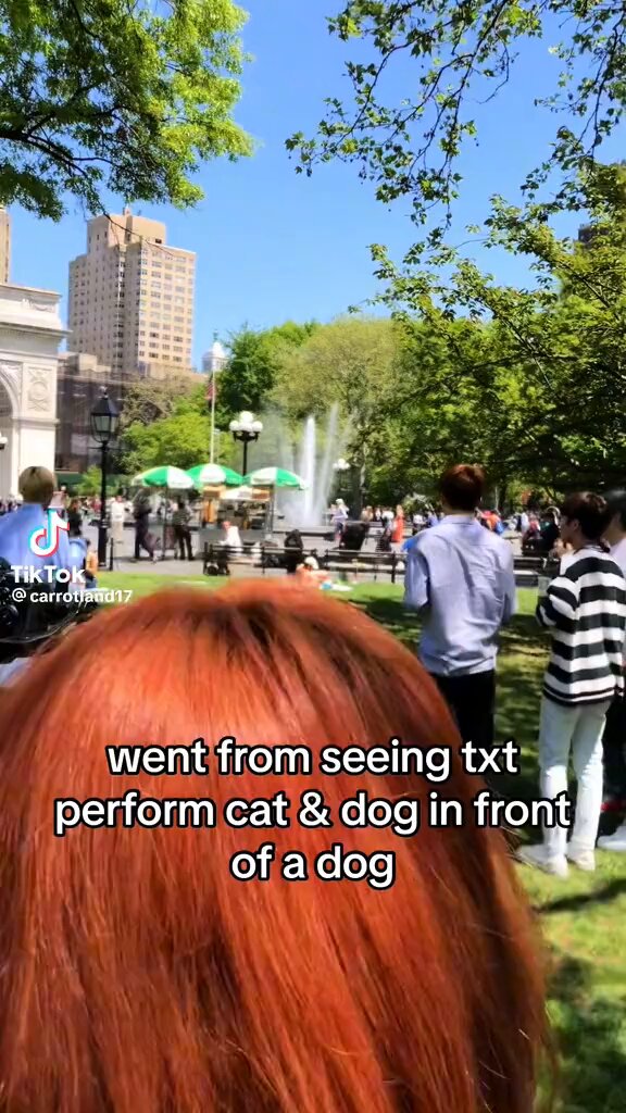 beomgyu giving an exclusive performance of cat &amp; dog to a LITERAL DOG and the dog just looking so confused still takes me out to this day 😭😭😭