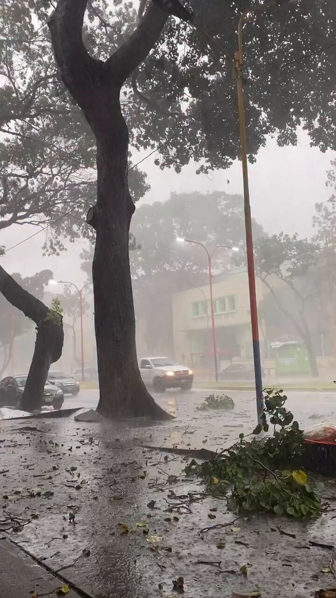 Venezuela es Jumanji literal