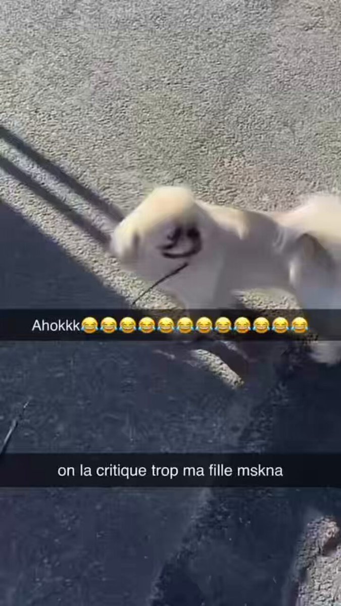 🚨🇫🇷 C’ÉTAIT LE GRAND N’IMPORTE QUOI DEVANT UN LYCÉE À SAINT-OUEN. Lors d’un blocus, l’entrée de l’établissement a été saccagée et les forces de l’ordre ont été caillassées par plusieurs individus. La situation a complètement dégénéré aux abords du lycée.