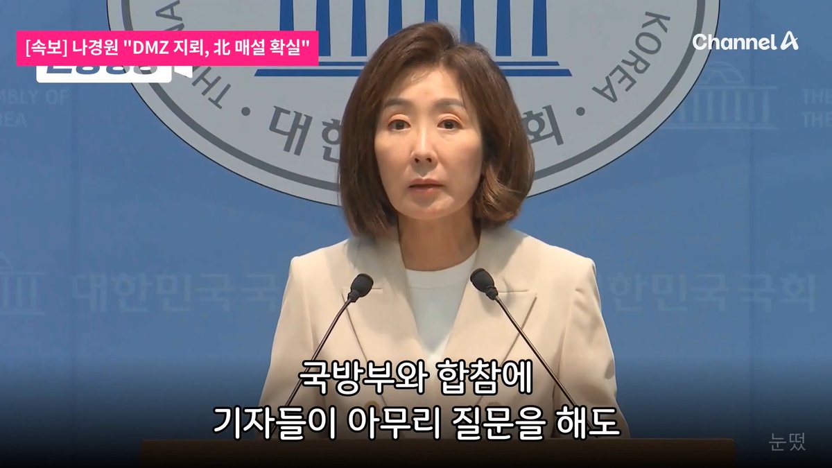 🚨[속보] 나경원 긴급 기자회견 "DMZ 지뢰, 北 매설 확실... 이재명 정부가 국민 속여"
