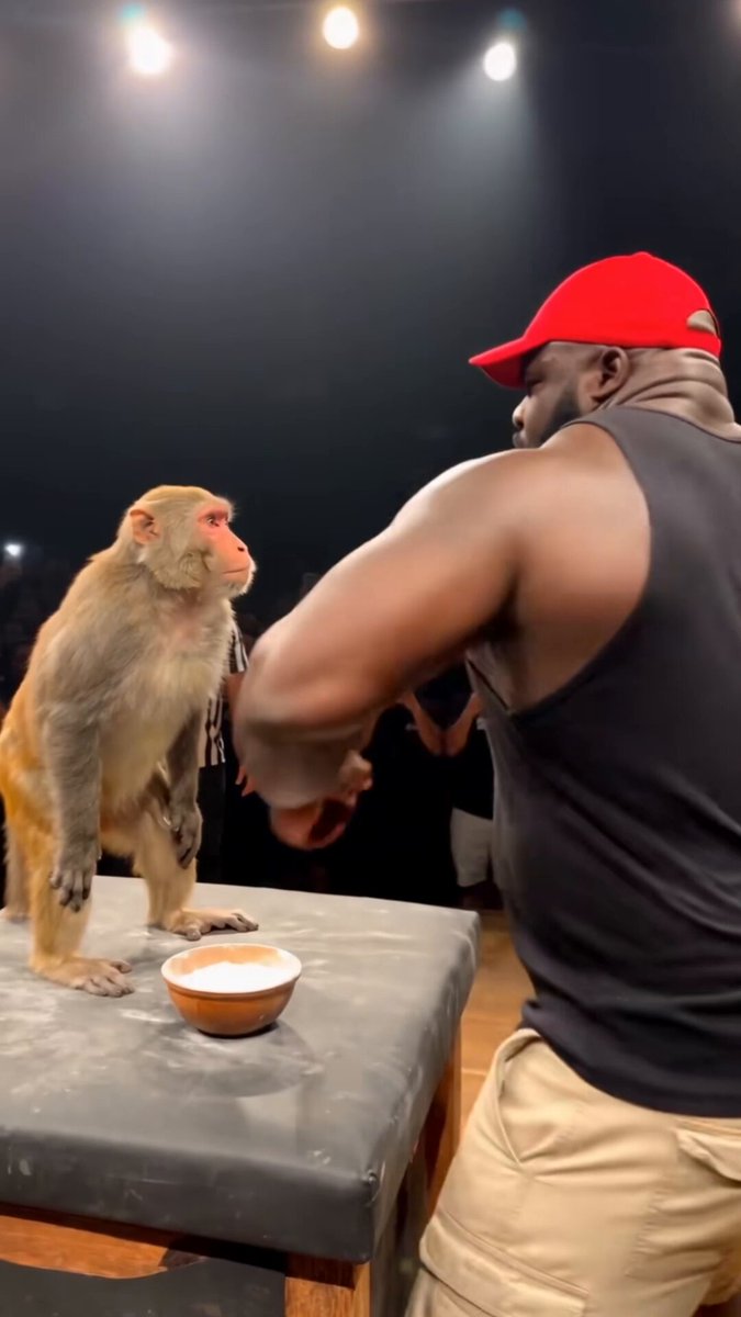 I TOLD GROK BOT: “Predict the future and make me the dumbest video that will be all over everyone’s feed soon.” I expected some generic AI nonsense. But even I wasn’t ready for the final result. It gave me a monkey trying to outlift a giant bodybuilder. And somehow, that stupid setup was impossible to scroll past. You understand the whole thing in one second, but still want to see what happens next. That was the formula: > instantly understandable first frame > two characters that should never be together > one stupidly simple conflict > escalation every few seconds > a payoff worth waiting for So I started making scenes that were absurd from the very first second. The account started blowing up across the feed. Views kept climbing, people started sharing the clips, and those experiments made me my first money from AI videos. The funniest part? I asked Grok Bot to predict the future. It created the dumbest viral video for me. Picsart
