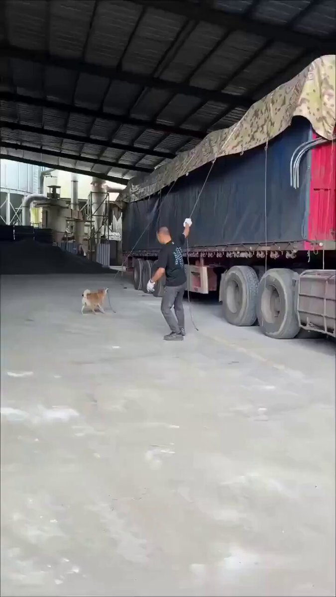 なんて賢い柴犬だ… ご主人様の仕事の手伝いまでするのか