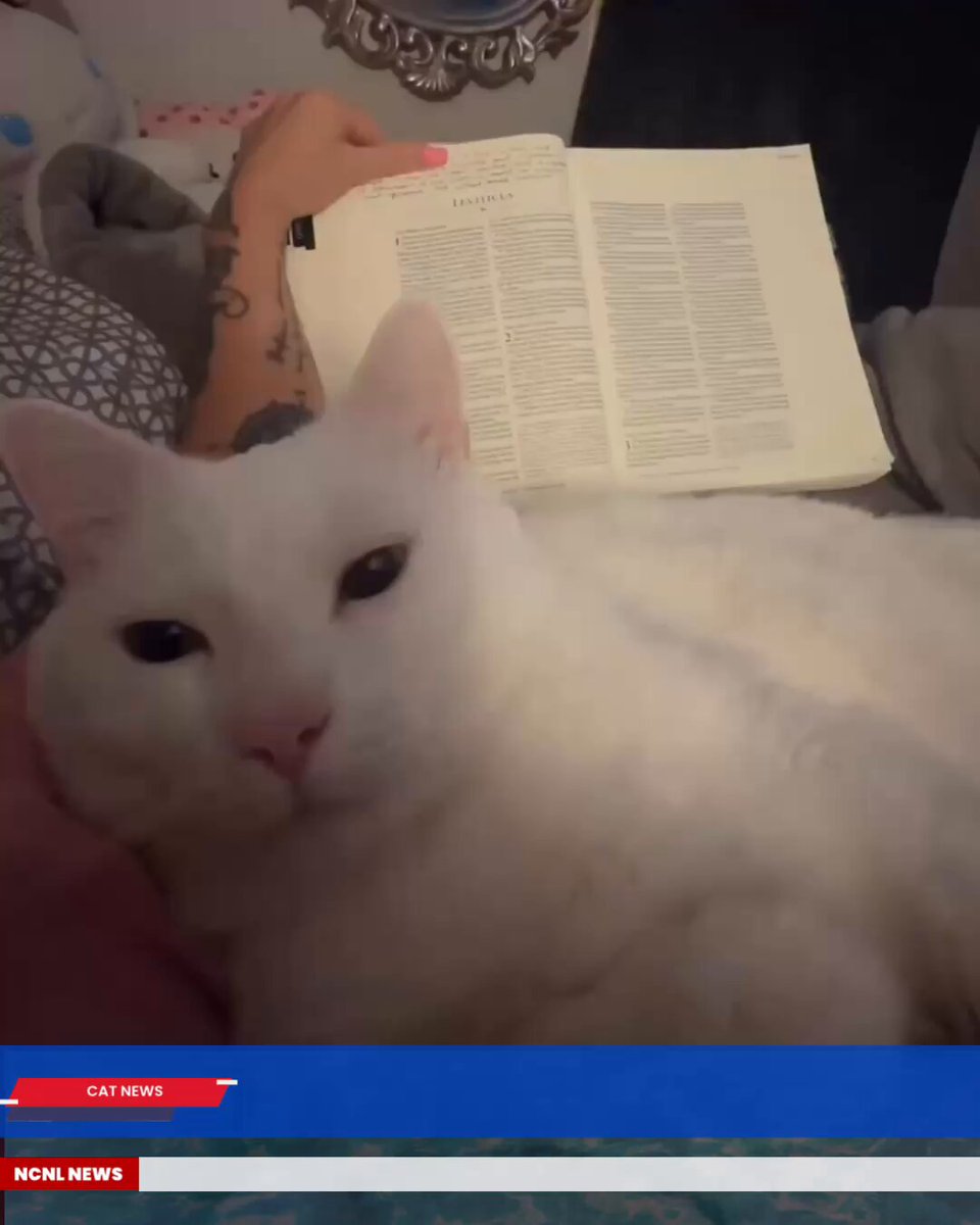 Mom is trying to read, but her favorite reading partner has other plans. With a face this cute, how is she supposed to focus? 🥹🧡