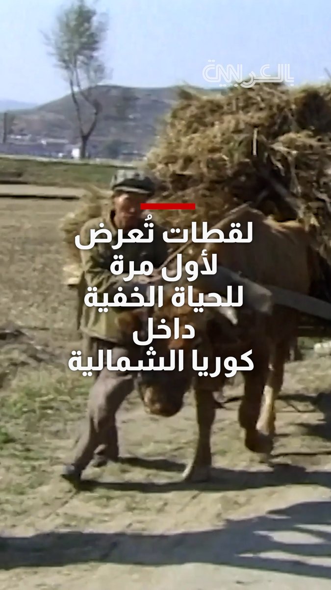 لقطات تُعرض لأول مرة.. شاهد الحياة الخفية داخل كوريا الشمالية