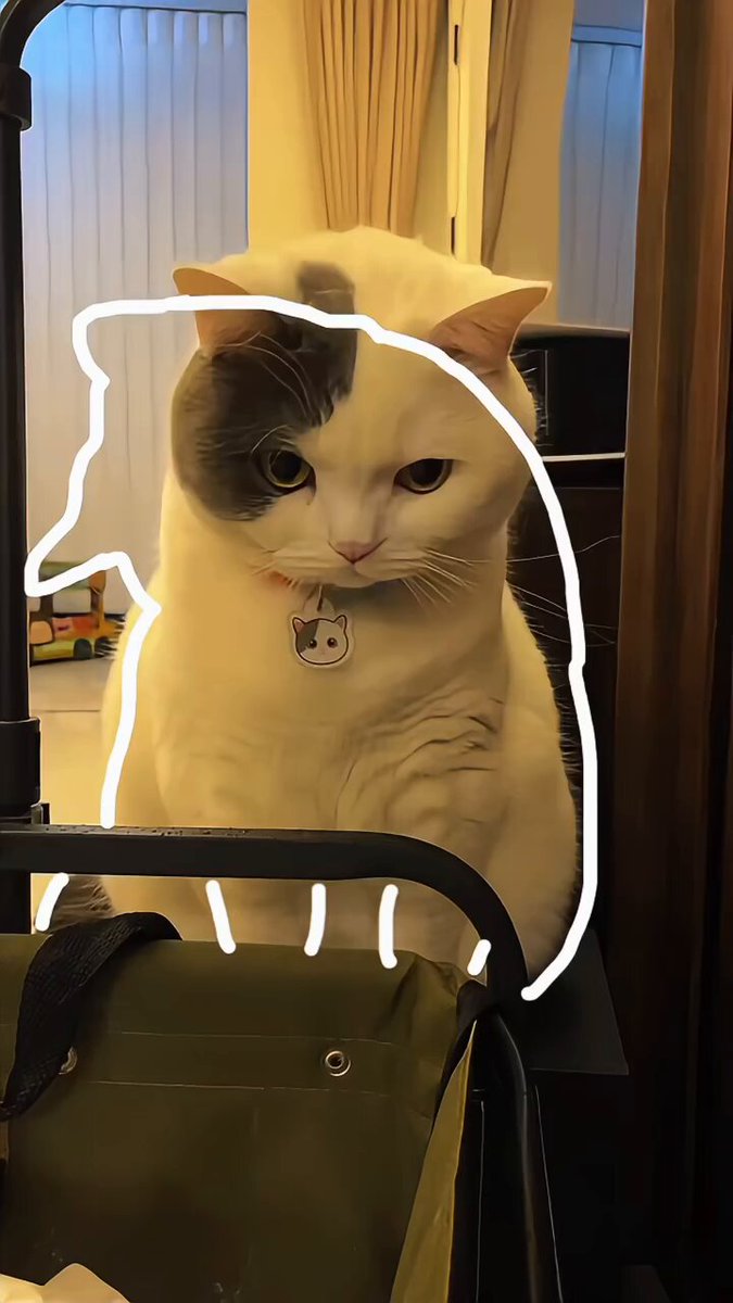 猫バージョンあるの初めて知った。これ無限に見てられる