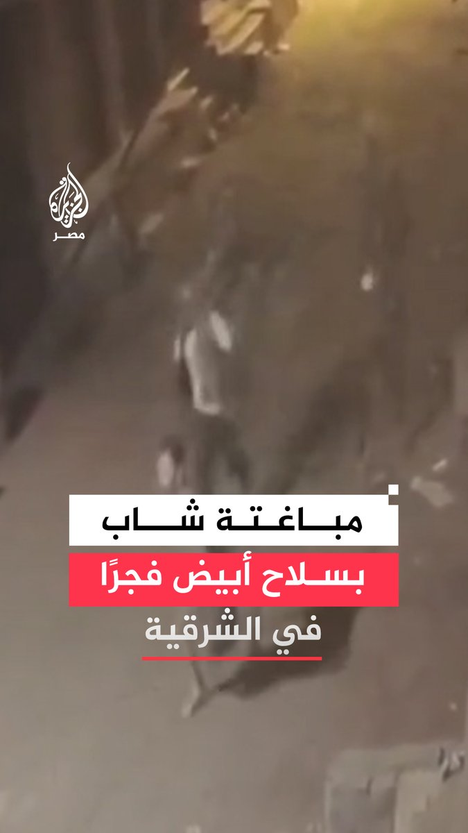كاميرا مراقبة تظهر مباغتة شخصين لشاب أثناء سيره ليلًا في قرية بمنيا القمح في الشرقية ومحاولة الاعتداء عليه والأمن يفحص الفيديو للوقوف على تفاصيل الواقعة