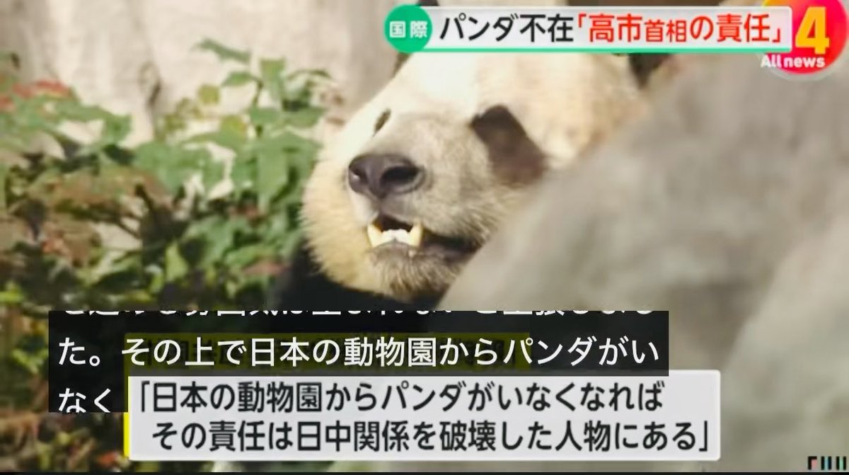 パンダ2頭（友好の証）がアメリカに到着しました。以前から「日本からパンダが去る責任は日中関係を破壊した者にある」といわれていたのに、高市首相はアメリカの威を借りて中国を煽りに煽り、トランプにハシゴを外されました。日本にデメリットしかないこの「外交ミス」を伝えないNHKの罪は重いです。