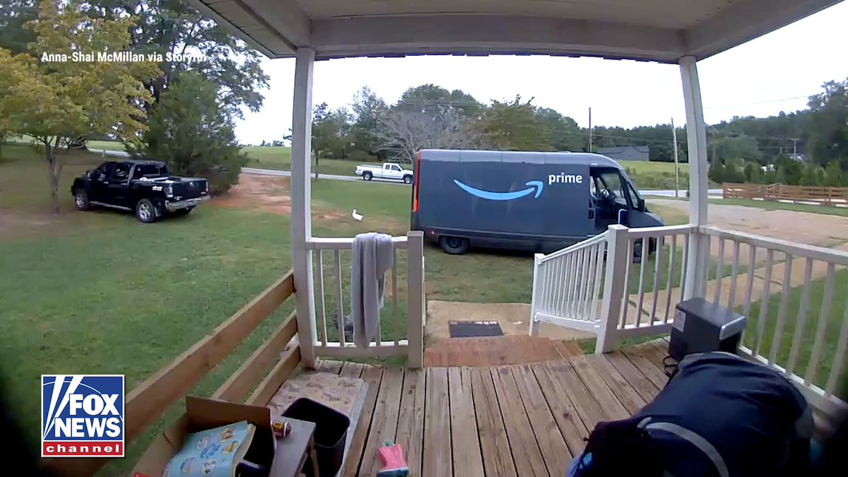 This Amazon driver is taking no chances with the "guard chickens." Security video from a South Carolina home shows the driver freezing as two chickens march up the porch and let out a crow. With a bird closing in, the driver grabs the package and leaps over the porch railing to make his escape. The homeowner says her chickens are harmless, but this delivery driver clearly isn't sticking around to find out.