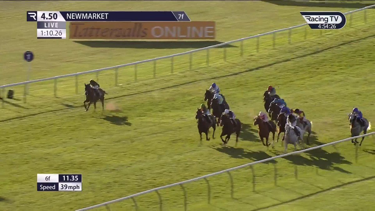 Sword wins the Hunt Family Fund Handicap at Newmarket. If you can, please donate by following the link below: