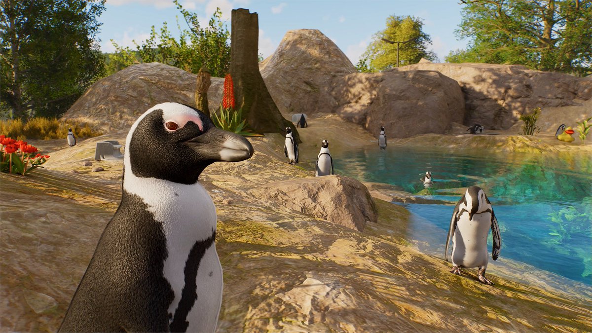 Dive, Soar and Twirl through the hoops with the African Penguins! Pre-order now: #PlanetZoo2