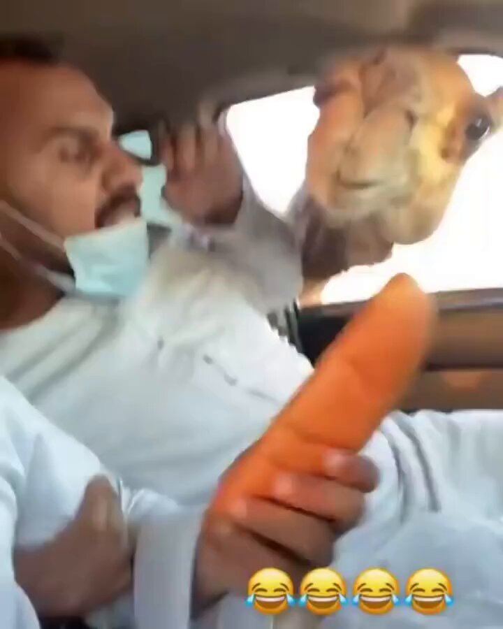 Rule No. 1: Never skip low quality arabic videos😂😂😂