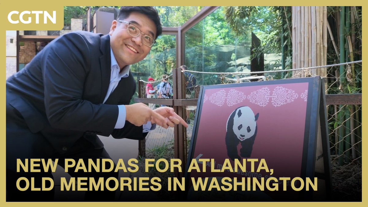 Panda fever is back in America! Two giant pandas from China are on their way to Atlanta, and people are already counting down. For some Americans, it's a brand-new panda moment. For others, it brings back memories that go all the way back to 1972.