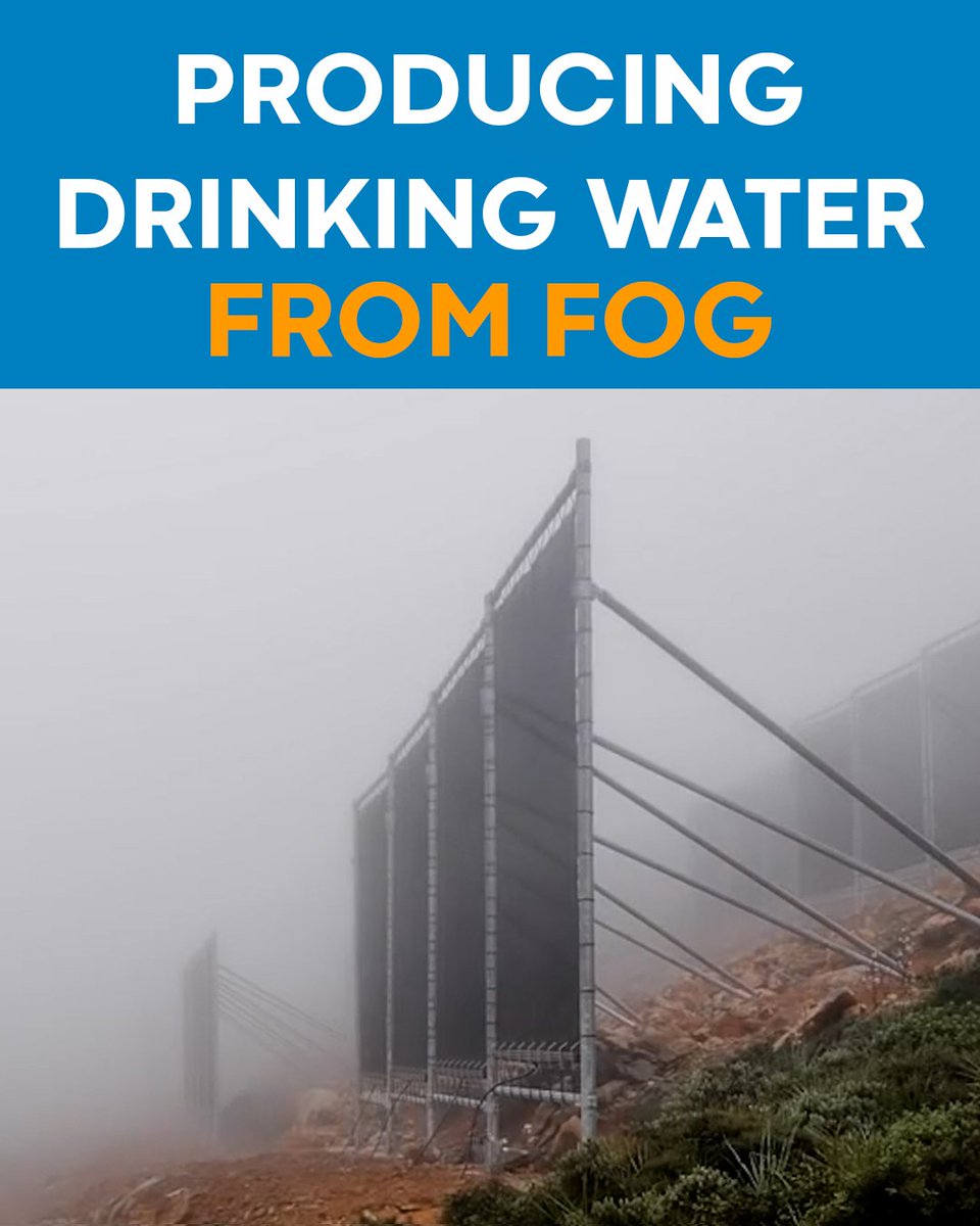 Fog contains typically from 0.05 to 1 grams of water per cubic meter, with droplets from 1 to 40 micrometres in diameter. Fog collection is the harvesting of water from fog using large pieces of vertical mesh.