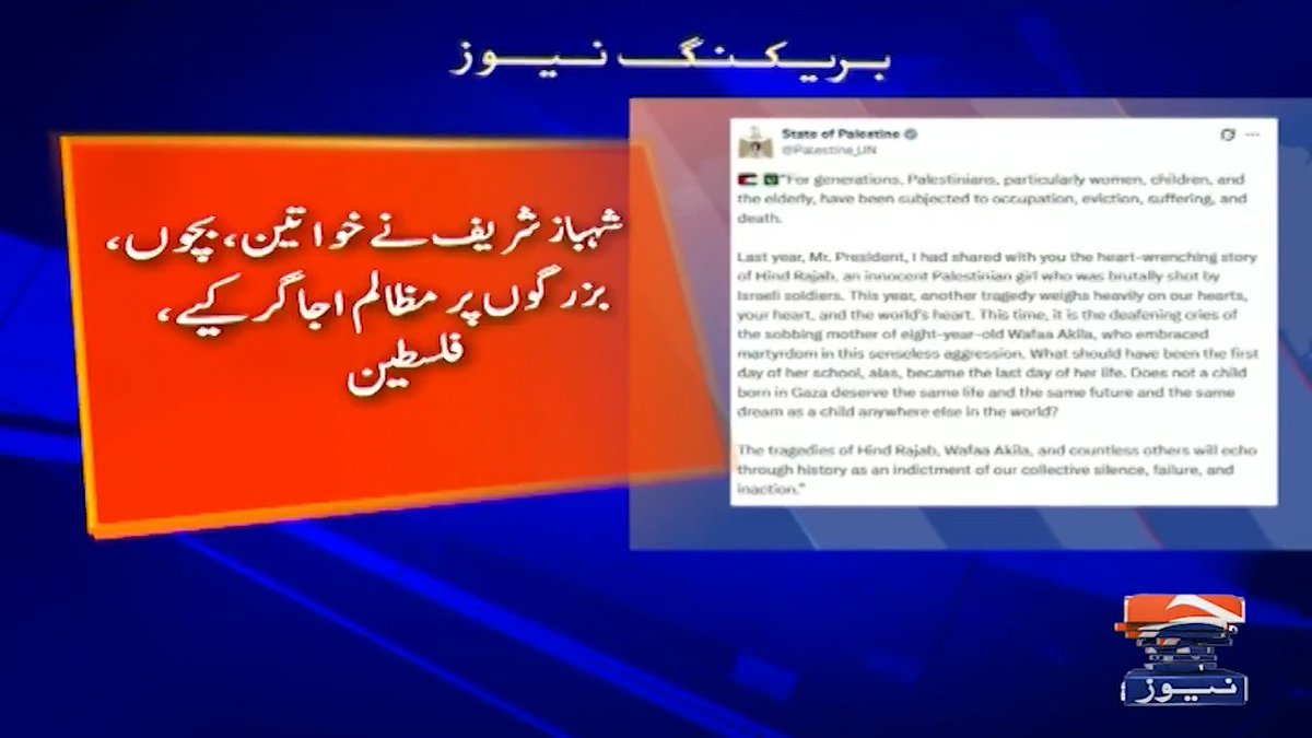 ریاست فلسطین نے وزیراعظم شہباز شریف کے خطاب کا کلپ سوشل میڈیا پلیٹ فارم پر شیئر کردیا