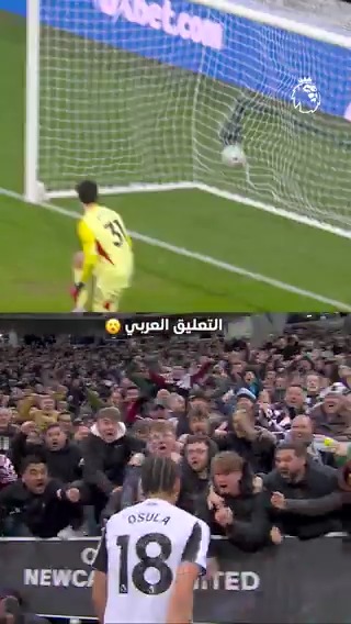 هناك من يعشق الجنون 🤯