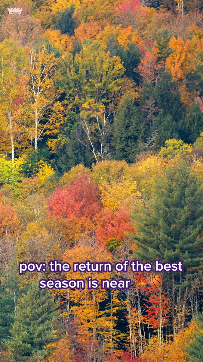 counting down the days 🕰️🍁