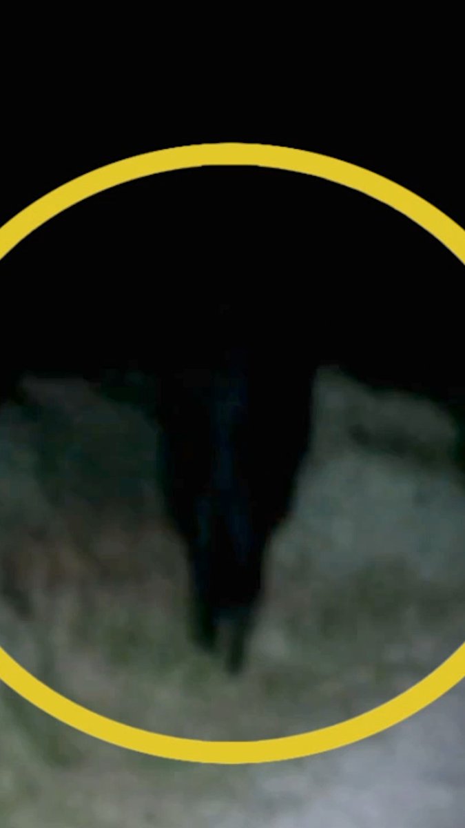 Mysterious shadow figure appears... then vanishes! 🫣 #ParanormalCaughtonCamera #shadow #mystery