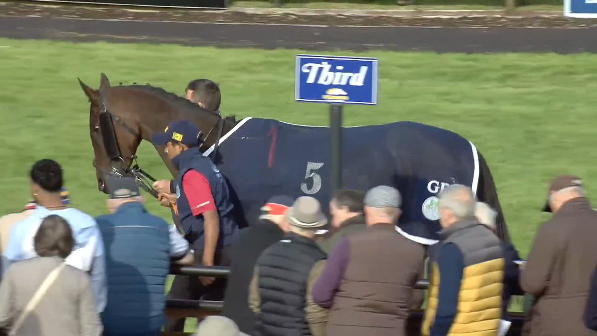 A rip-roaring chat with winning owners loving the game at Roscommon Racecourse - not to mention the story of how Smallcraftwarning won't go anywhere without his girlfriend Kilashee! Congratulations to Irish N.H. Tips and Hector ร hEochagรกin