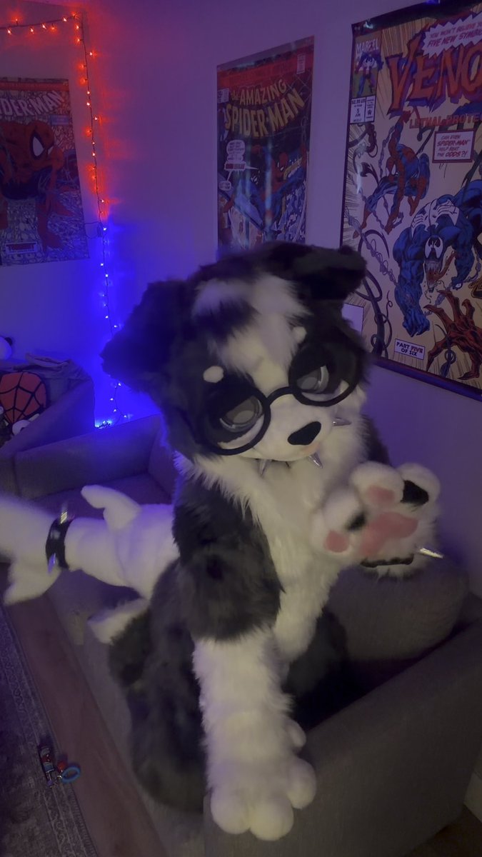 any excuse to wag my tail ૮ >ﻌ< ა