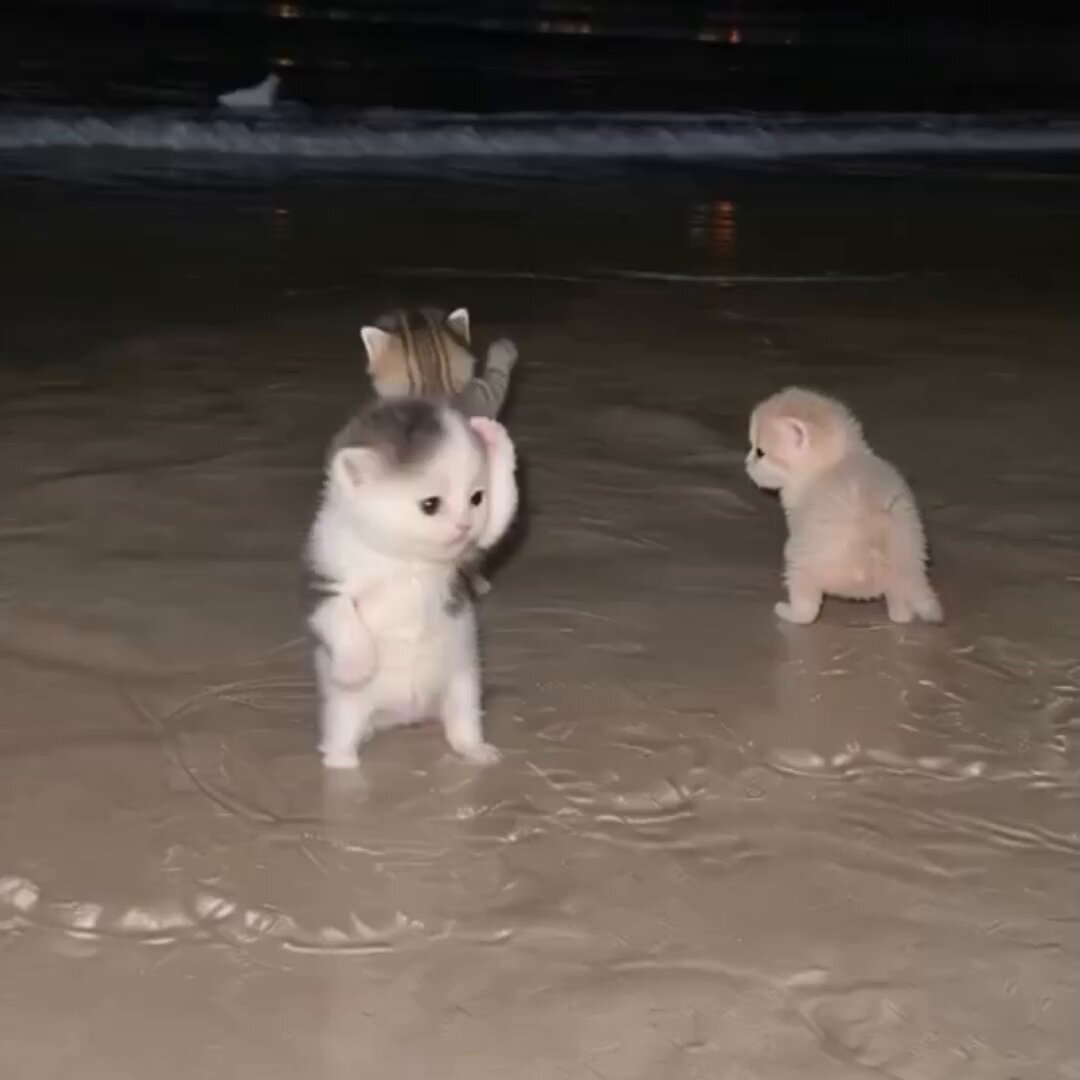 Me and my friends after hitting a 100x