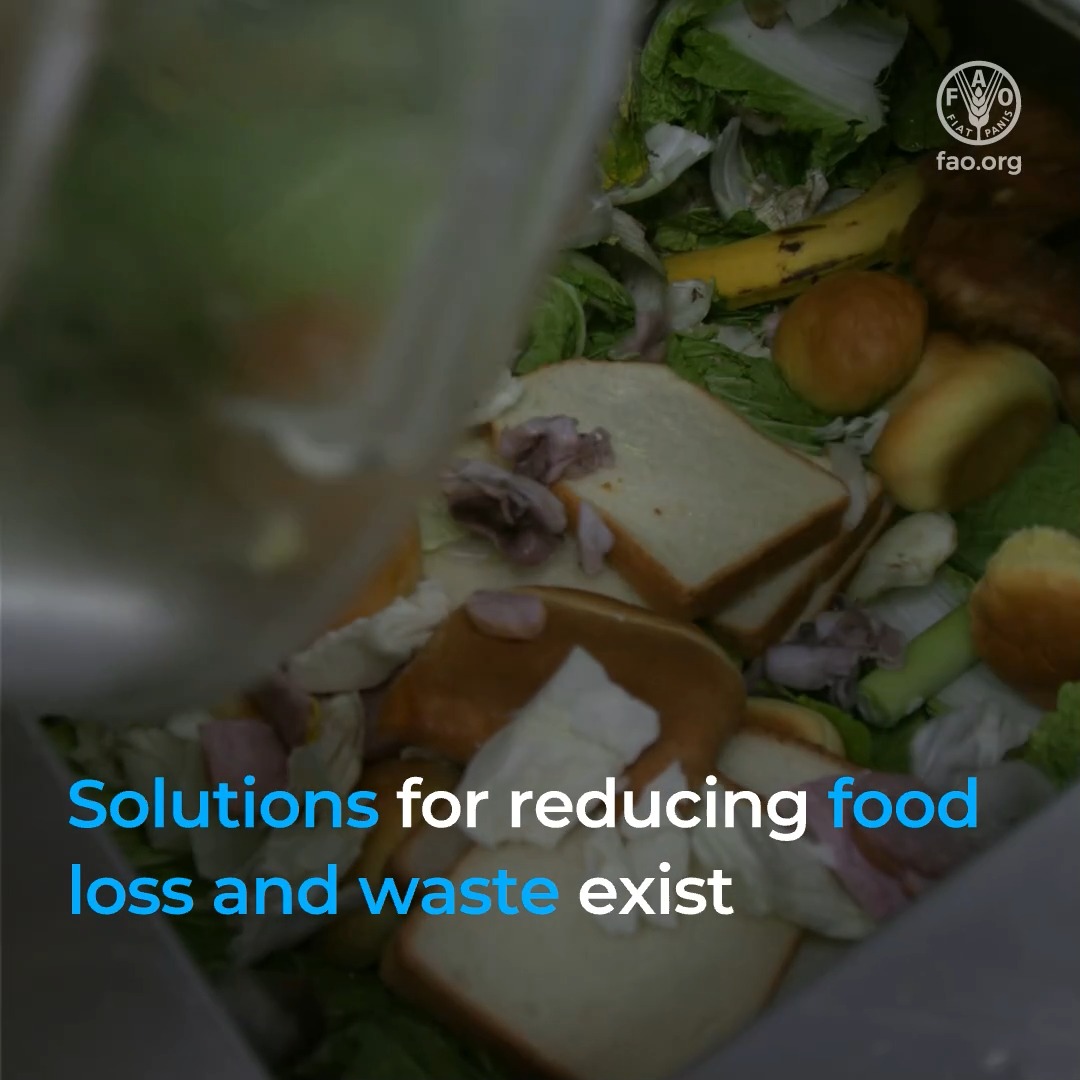 📏 Measure 🛡️ Prevent 🤝 Redistribute ♻️ Repurpose 🏠 Change habits Scaling up these solutions to fight #FoodLoss and #FoodWaste means better nutrition, a stronger economy and a healthier planet. #FLWDay