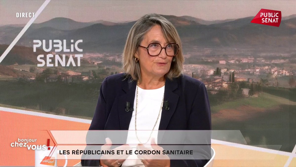 « On travaillera avec le RN car il représente une partie des élus locaux » déclare la sénatrice (LR) des Yvelines Sophie Primas sur le plateau de #BonjourChezVous