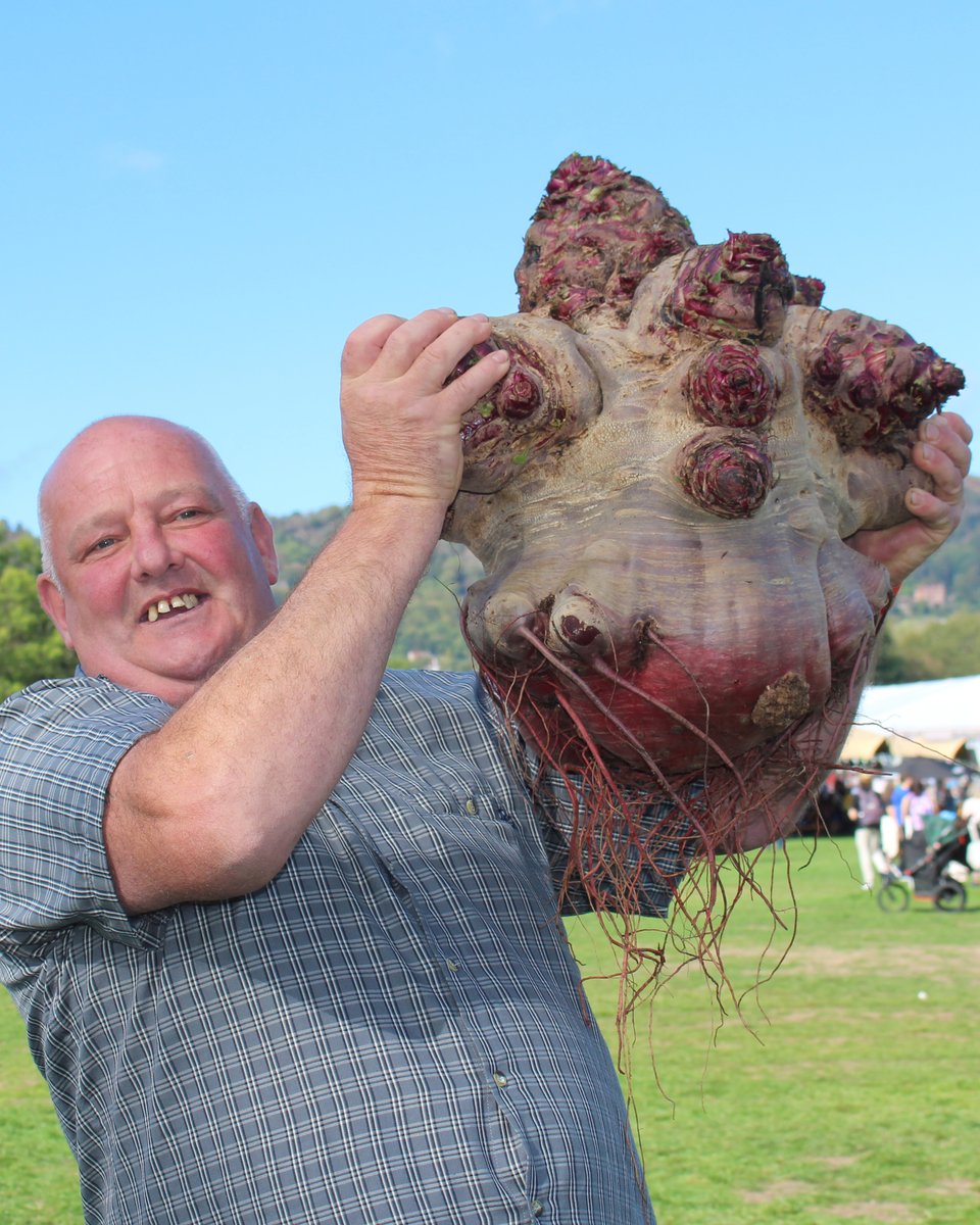 Records tumbled at this year's CANNA UK Giant Vegetables Championship in Malvern over the weekend 🌽