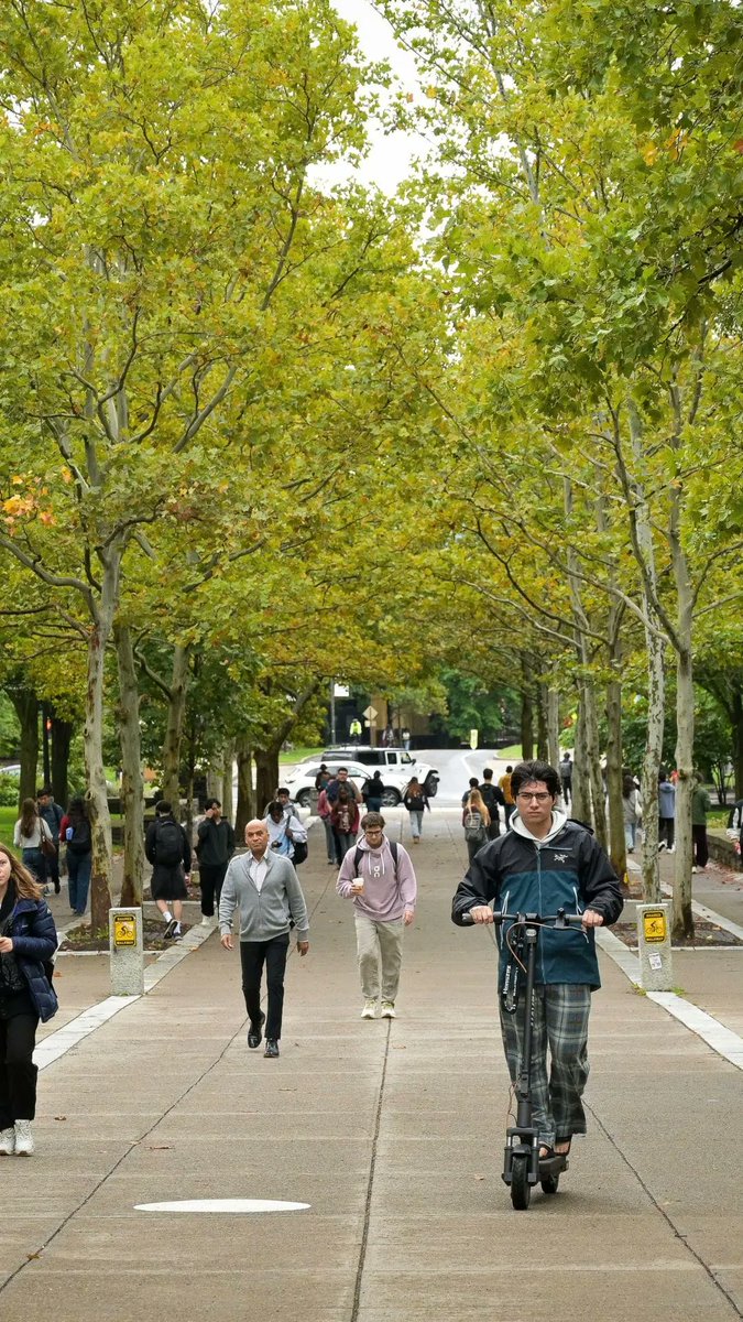 A New York prosecutor has reopened an investigation into gang rape allegations at a Cornell University fraternity in response to a lawsuit filed by a woman who says she was sexually assaulted in 2024 by seven students after being plied with alcohol and drugs.