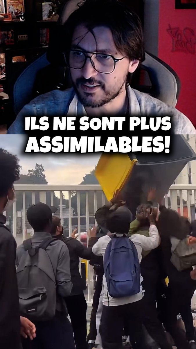 💻 NON REPROGRAMMABLES! 🖥️ Psyhodelik #assimilation #racailles #france #justice