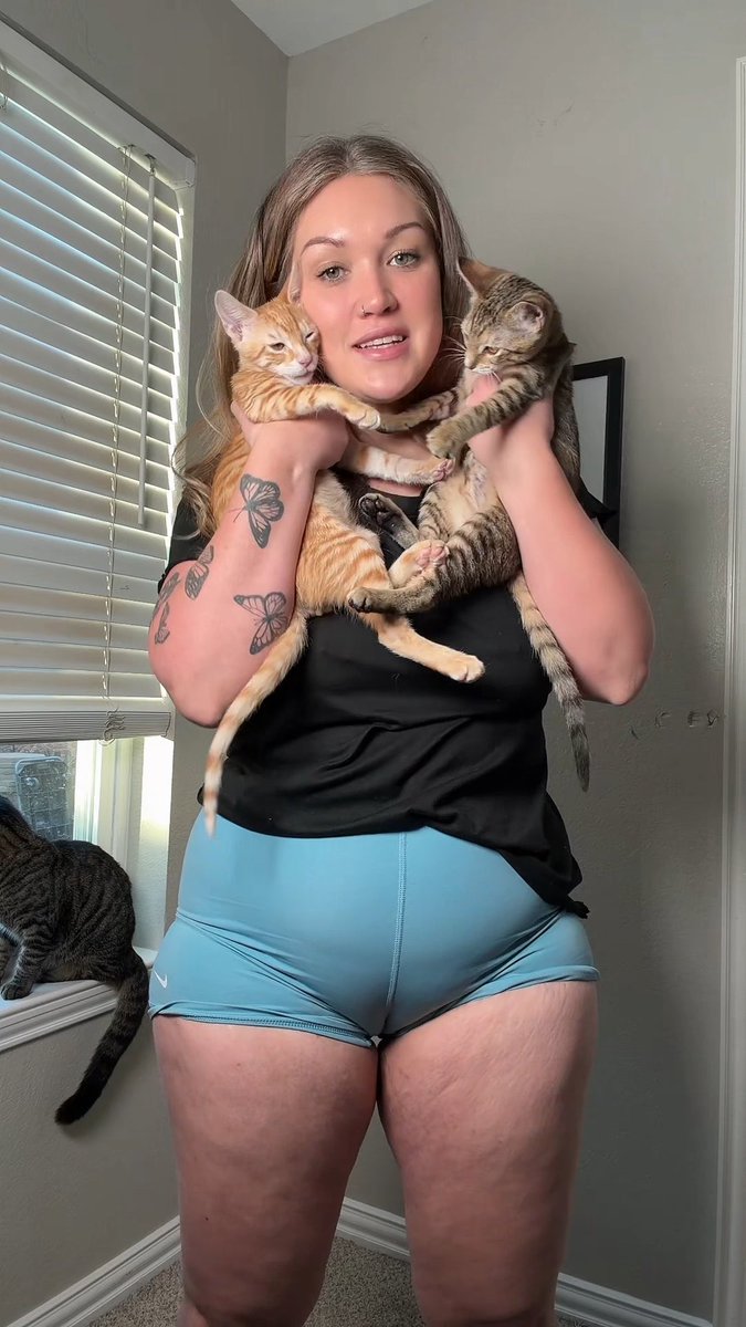 How many cats are in this video?