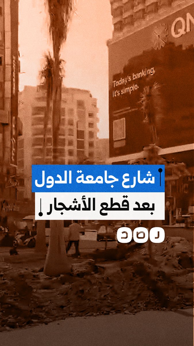 مشاهد لـ شارع جامعة الدول بـ المهندسين بعد قطع الأشجار العتيقة وتركيب نخل الزينة
