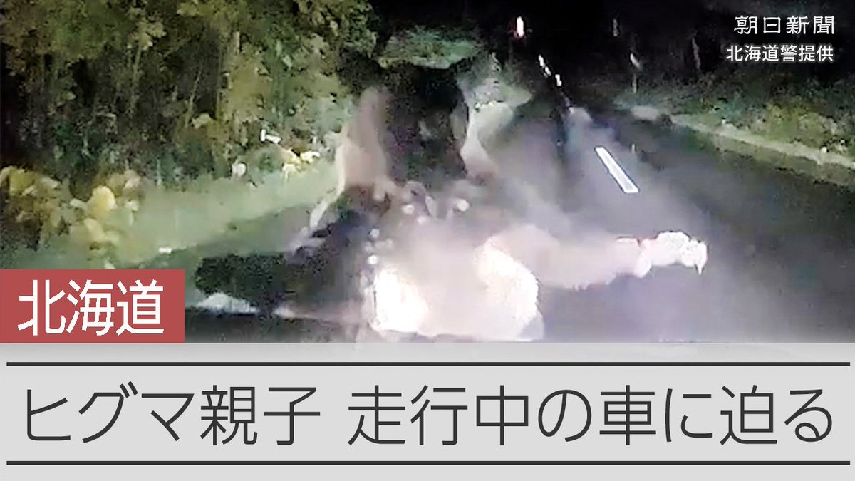 【動画】ボンネットに覆い被さり威嚇 車がヒグマに遭遇 北海道美深町 北海道美深町の道道で29日夜、走行中の車が親子とみられる2頭のヒグマに遭遇しました。母親とみられるクマが車に駆けよってボンネットに覆い被さるように威嚇したといいます。