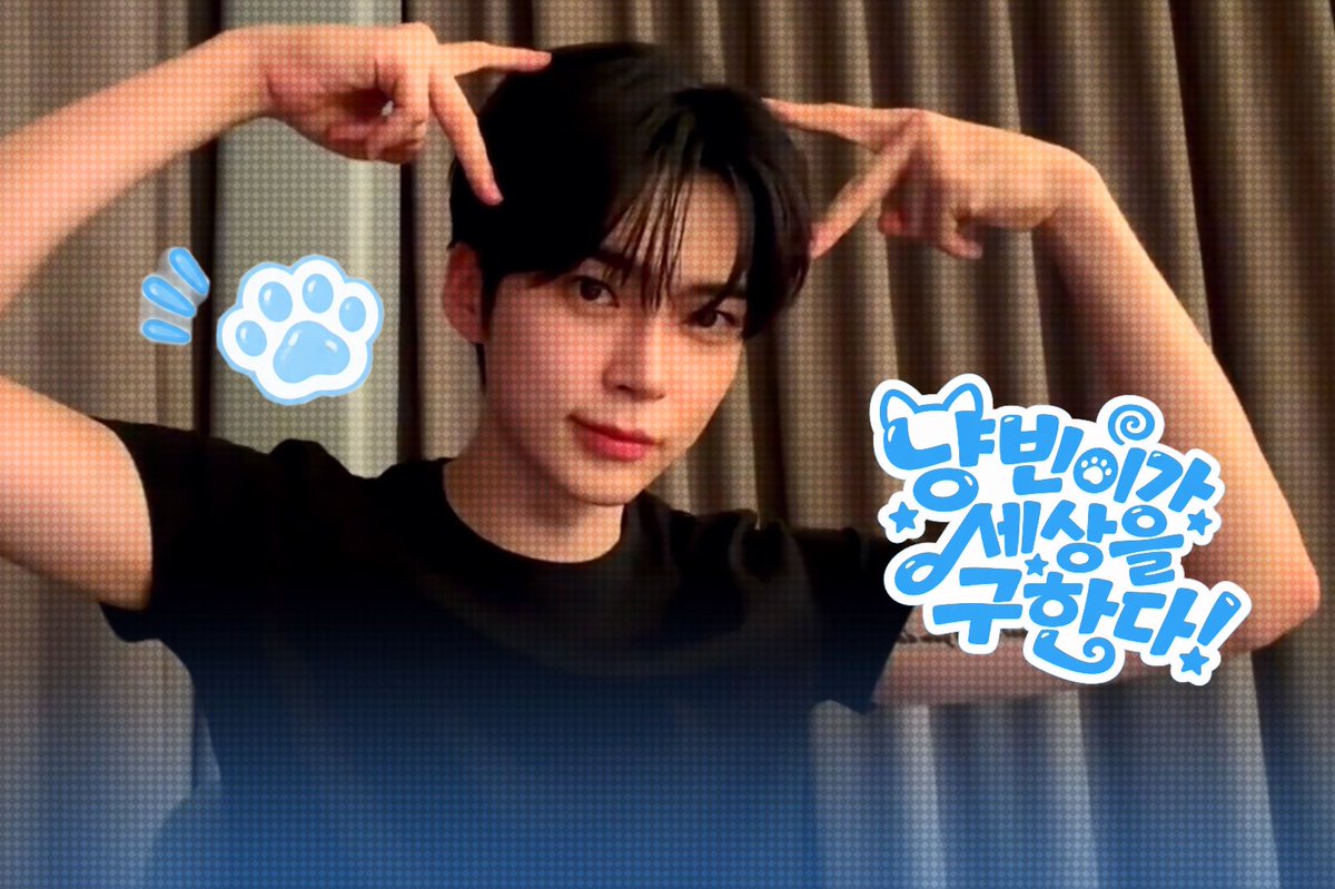 :¨·. ^. .^₎⟆ `·. 고양이가 세상을 구한다！ - #성한빈 - 들어보세요 ♡