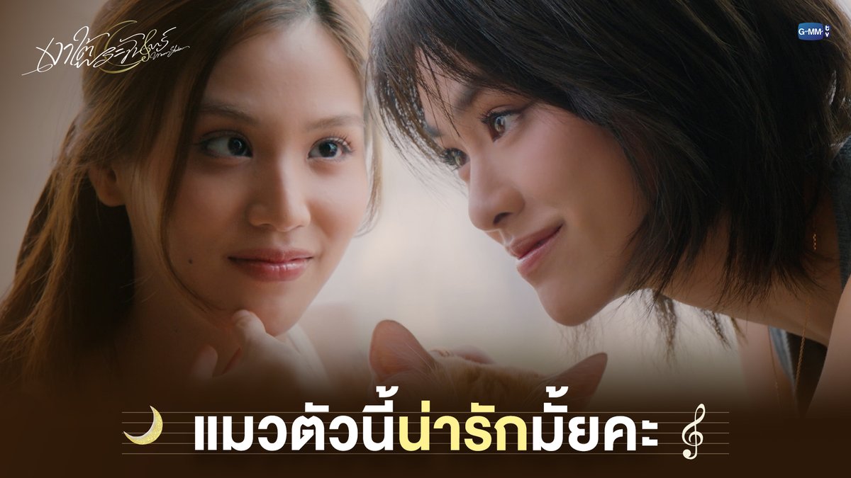 แมวตัวนี้น่ารักมั้ยคะ #MoonshadowSeriesEP8 “เงาใต้พระจันทร์ Moonshadow” 🌙🎼 ทุกวันพุธ เวลา 20:30 น. ดูทีวี ช่อง GMM25 ดูย้อนหลัง แอป oneD ที่เดียว เวลา 21:30 น. #MoonshadowSeries #GMMTV เอหมี bonny
