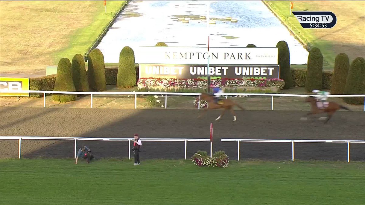 450,000gns yearling Muqarrabin (Wootton Bassett) gets the job done on debut in the one-mile Unibet Maiden Kempton Park Racecourse 🔵🔵🔵 Wootton King also an eyecatcher in second ...