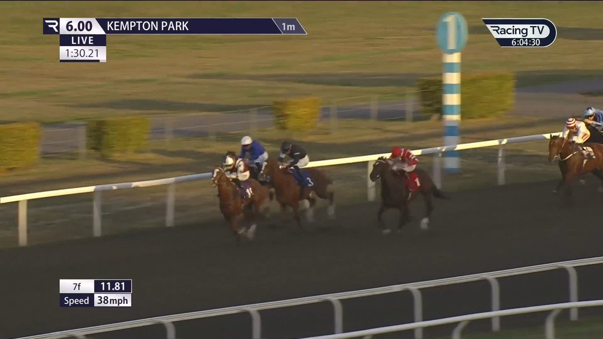 Those boys in blue trouser both divisions of the one-mile Unibet-sponsored maiden Kempton Park Racecourse after debutant Votadini (Make Believe) pounces on the rail under William Buick Godolphin | Clarehaven