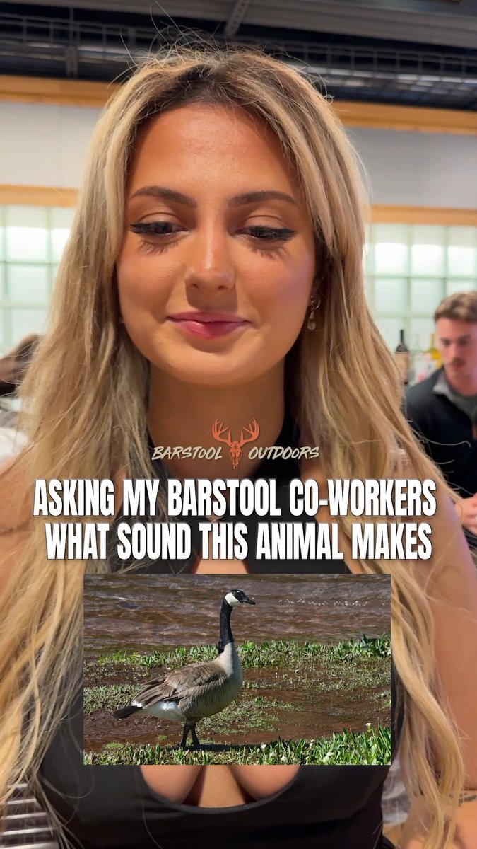 Asking my Barstool Sports co-workers what sound this animal makes!