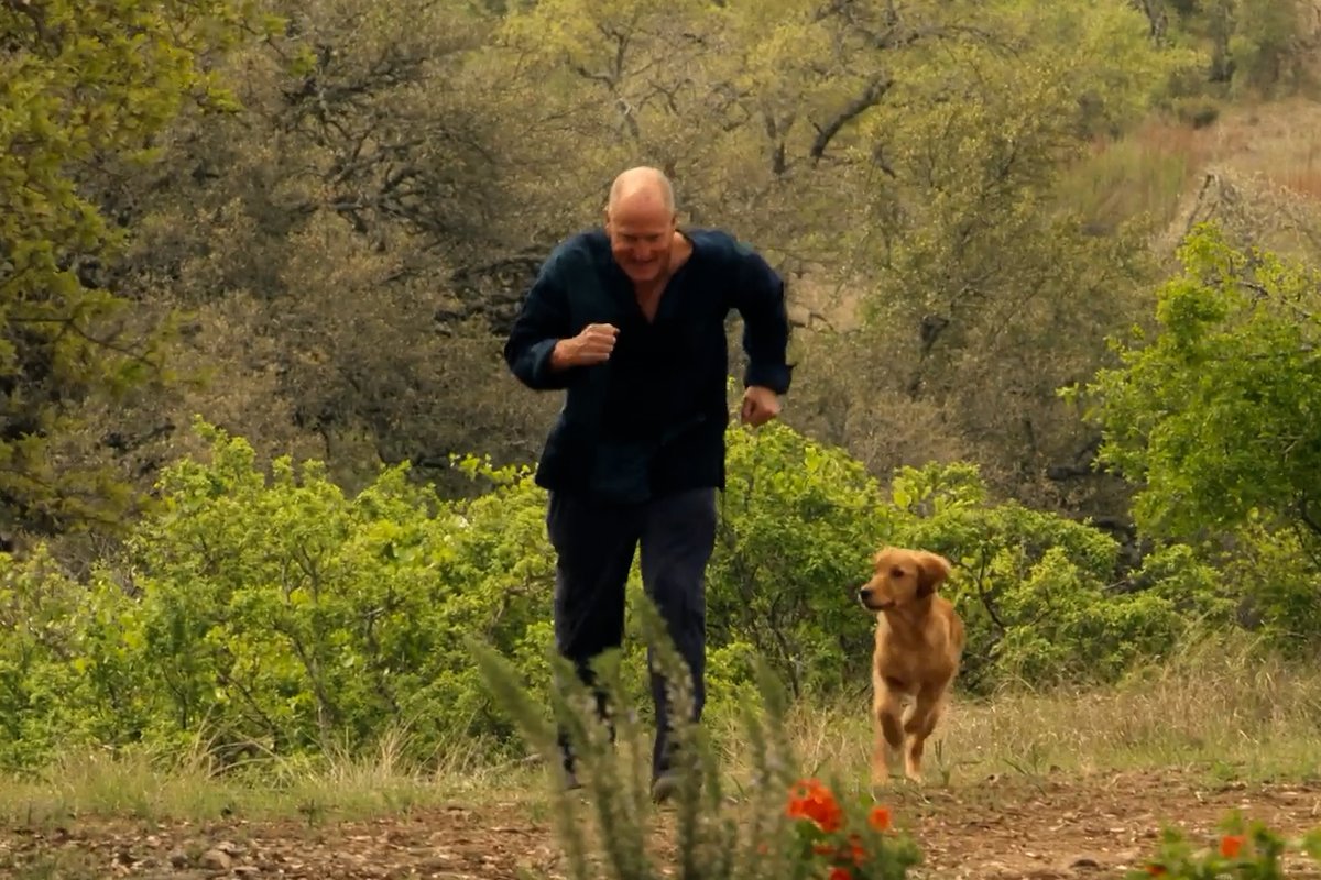 Uncle Woody brings home a puppy. What could go wrong? #Brothers