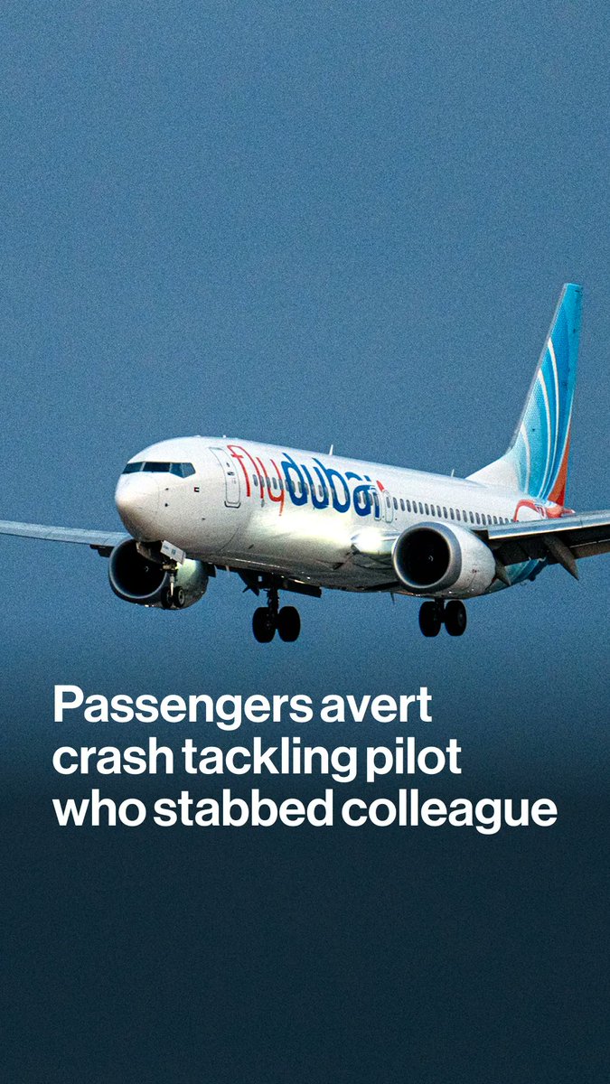 A pilot of a jet carrying more than 170 passengers to Tel Aviv stabbed his colleague and tried to crash the plane in what Israeli Prime Minister Benjamin Netanyahu branded a serious security incident. Bloomberg's Benedikt Kammel has more
