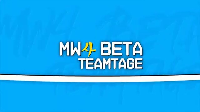 THE GHOST MW4 BETA TEAMTAGE