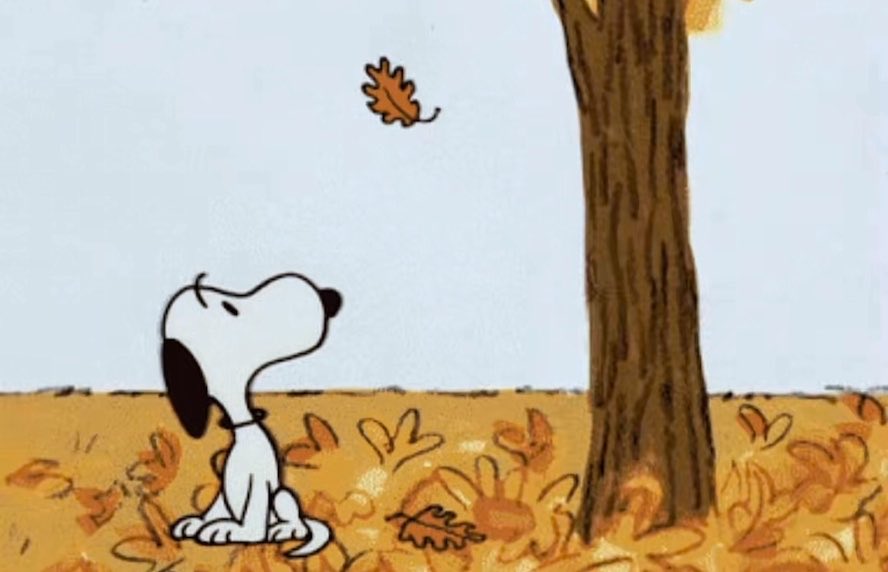 — it’s finally October 𓇢🍂༘⋆.˚