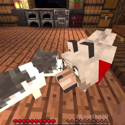 Another full clip of Minecraft fake and real jerry dog + cat